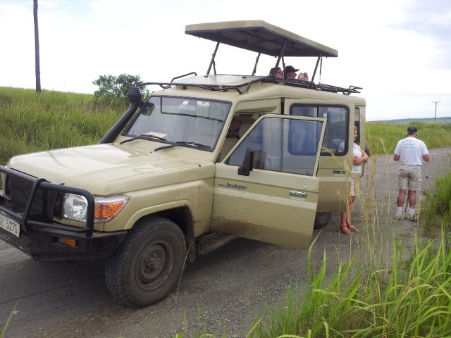 Gorilla trekking in Uganda